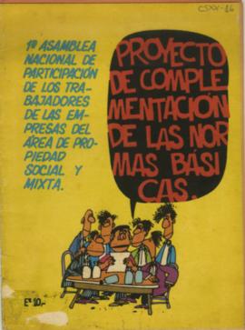 Documento informativo, titulado Proyecto de complementación de las normas básicas, en virtud de l...