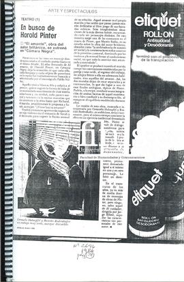 En Busca De Harold Pinter
