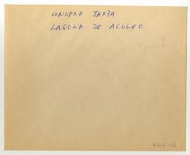 Copia en microfilm de "Laguna de Aculeo" de Onofre Jarpa