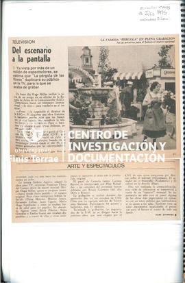 Televisión Del Escenario A La Pantalla