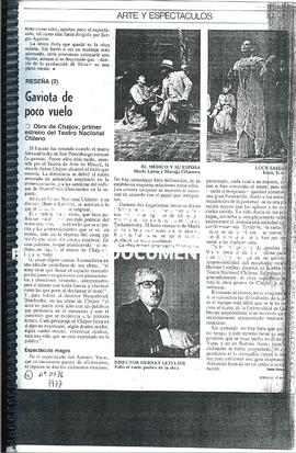 Gaviota De Poco Vuelo