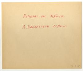 Copia en microfilm de "Riberas del Mapocho" de Alberto Valenzuela Llanos