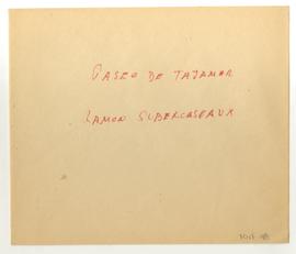 Copia en microfilm de "Día en la cañada y paseo en el tajamar" de Ramón Subercaseaux